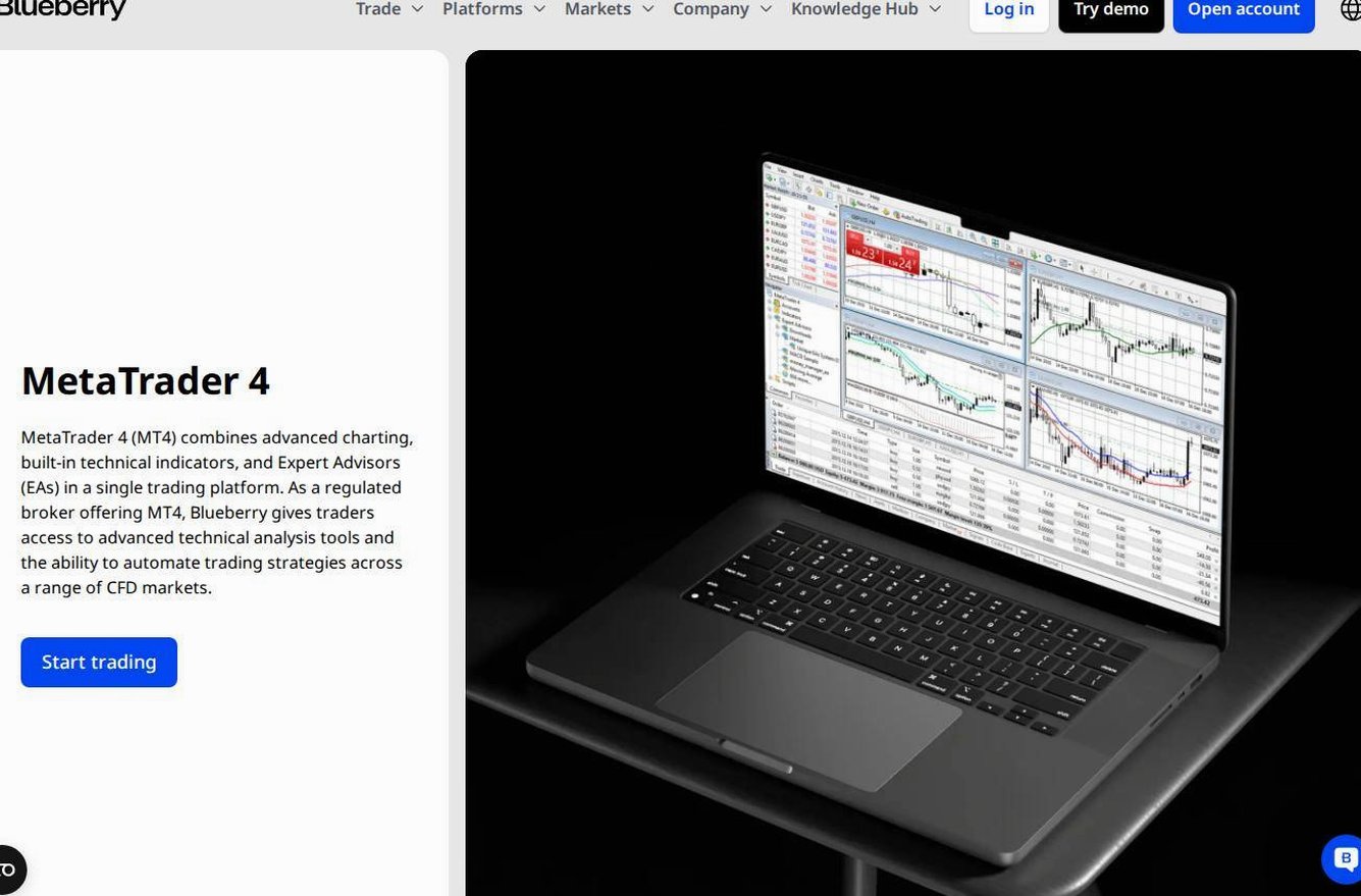 The platform page on the Blueberry Markets website